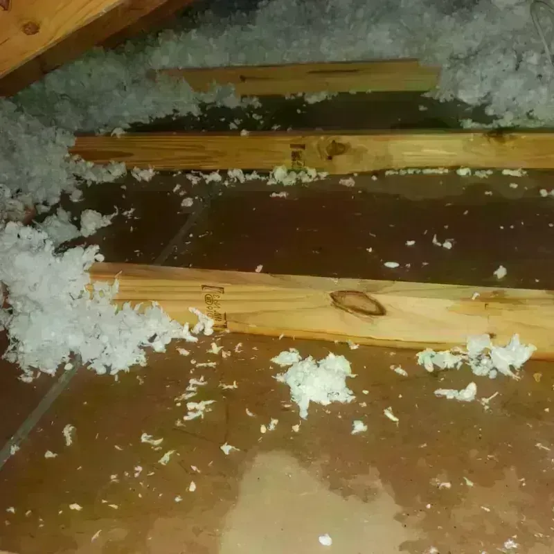 Attic Water Damage in Newport, WA